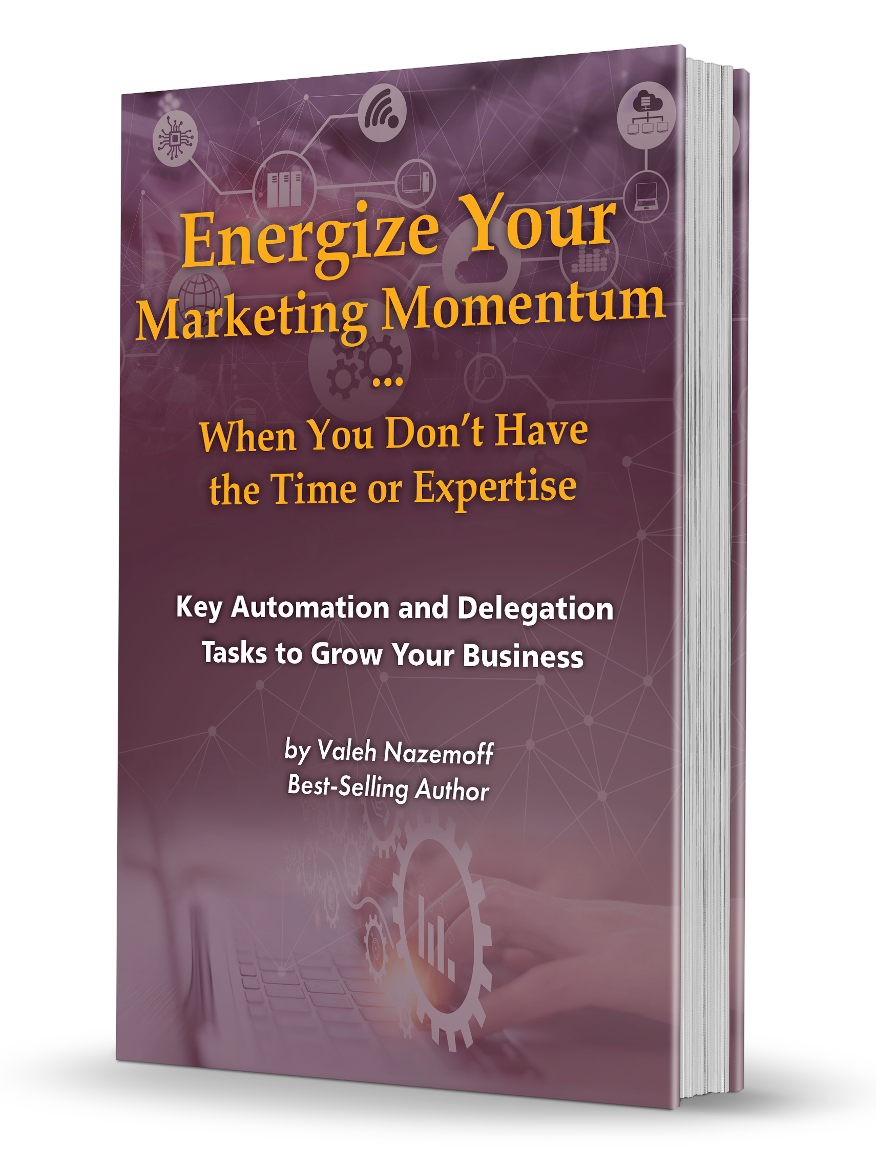 444077-Marketing-Momentum-Book-Cover.png